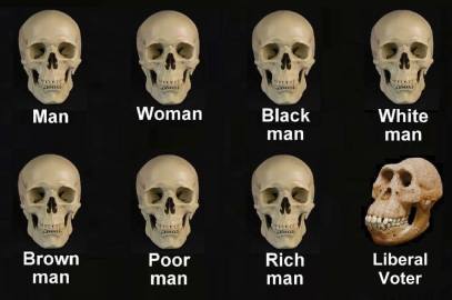 skulls liberal